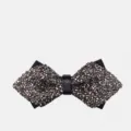 Papillon da uomo in strass scintillanti grigio argento cristallo matrimonio festa formale - Grigio Galassia