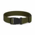 Cintura elastica verde militare per bambini con fibbia nera, cintura tattica. - Verde militare