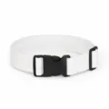 Cintura elastica bianca con fibbia in plastica per bambini uniforme scolastica - Bianco
