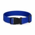 Cintura elastica tattica per bambini con fibbia in plastica nera variante blu royal - Blu