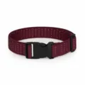 Cintura elastica militare per bambini con fibbia in plastica nera, pois rossi e bianchi. - Rosso con pois bianchi