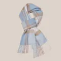 Classic blue and white plaid winter scarf with tassels, soft warm material for cozy daily wear. - Warm Soft Plaid