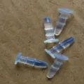 Transparent silicone earphone dust plug detail view, soft protective plug for phone jack. - Clear