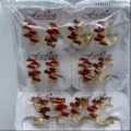 Detaillierte Ansicht des roten Zirkon vergoldeten Ohrring Sets fuer Damen Mode Stil - Modischer Ins-Stil (ZSJEH323) / 6er-Set / Rot