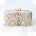 Elegant satin beaded evening bag, crystal rhinestone hardcase clutch for women party. - Champagne