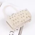 Elegant mini pearl evening clutch bag with rhinestone embellishments and beaded handle for women. - Style 1