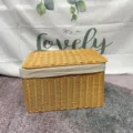 Handcrafted faux rattan lidded storage basket detail for home organization clothes toys. - Lined Small Storage Box with Lid 28x18x15 cm / Brown