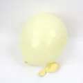 10 Zoll matte Macaron Latexballon, hellgelbe Pastell Luftballons fur Geburtstag Party Hochzeit Dekor. - 10 Zoll 100 Stück/Packung / Gelb