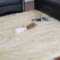 Flauschiger Kunstfell Teppich, weicher Shaggy Teppich für Schlafzimmer und Wohnzimmer Deko. - 60*90cm / Cremeweiß Braun Gefärbt