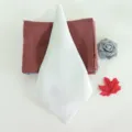 Pure linen dining napkins set, solid color table cloth for hotel and home western restaurant decor. - Bleached White CJ001