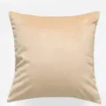 Zachte fluwelen kussenhoes in champagnekleur, elegante noordse vierkante kussensloop voor de bank. - Khaki / 30*50cm (Zonder Vulling)