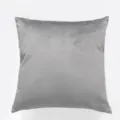 Grijs fluwelen kussenhoes, zachte vierkante kussensloop voor bank, bed en huisdecoratie. - Lichtgrijs / 30*50cm (Zonder Vulling)