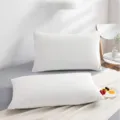 Oreiller Decoratif Velours Blanc Scandinave Grand Dossier Lit Housse Lavable Doux - 50x75cm (Housse de coussin) / Milky blanc