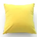 Gele fluwelen kussenhoes, zachte vierkante kussensloop voor bank slaapkamer decoratie - Lichtgeel / 30*50cm (Zonder Vulling)