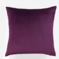 Paarse fluwelen kussenhoes, zachte vierkante kussescase voor bank, bed en kantoor decor. - 30*50cm (Zonder Vulling) / Aubergine paars