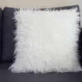 Housse de coussin moelleuse blanche taie d'oreiller en peluche douce pour canapé salon - 30x50cm (Sans Noyau) / Blanc
