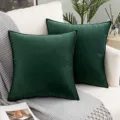 Coussin décoratif en velours vert foncé pour canapé de salon, housse carrée luxueuse. - Vert Foncé