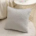 Hellgrauer Noppen Plüsch Kissenbezug nordisch minimalistisches Deko Kissen für das Sofa - 30x50cm (Kissenbezug) / Hellgrau