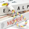 Colorful braided phone lanyard wrist strap minimalist keychain color-blocking accessory - Single Rope 3
