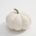 Vue détaillée du coussin citrouille en peluche blanche, coussin de canapé doux pour la maison. - 35cm / Blanc
