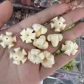 Detailed macro view of 14x17mm ivory shell powder trumpet flower loose beads for DIY crafts - Beige