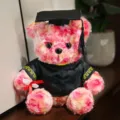 Afstudeer teddybeer pluche speelgoed, schattige dokter beren knuffel met afstudeerhoed en jurk. - Iriserend Roze