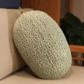 Coussin en peluche forme de melon oreiller doux pour canape decoration interieure - Cantaloup
