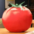 Coussin en peluche tomate geante oreiller de fruit doux canape decoration interieure - Tomate
