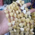 Natural yellow stone heart-shaped loose beads for DIY jewelry making and crafting - 15*15*6mm (Approx. 24 Pieces/Pack) / Yellow Jade