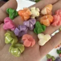 Bunte 14x17mm Muschelpulver Trompetenblumenperlen für DIY Haarschmuck Bastelzubehör - Mehrfarbig