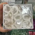 Eine Box mit natürlichen weißen Quarzkristall-Geoden für die Mineraliensammlung - Quarz-Geode (9) / Eine Box