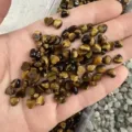 Primo piano di cabochon in pietra occhio di tigre a forma di cuore per gioielli fai-da-te - Occhio di tigre