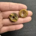 Close-up detail of two 20mm natural tiger eye stone donut beads for jewelry making - 10 Pieces/Pack / Tiger's Eye