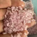 Primo piano di pietre di quarzo rosa a forma di marquise 2x4 mm per gioielli fai da te - 2*4mm / Quarzo rosa