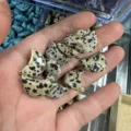 Gedetailleerde macro-weergave van diverse 20mm halve maanvormige dalmatiër jaspis steentjes - 20x6mm / Gevlekte Steen