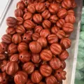 Natural red agate stone beads in pumpkin shape for DIY jewelry making accessories - 10mm / Red Jasper