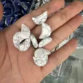 20mm maanvormige witte howliet natuursteen hangers voor het maken van sieraden - 20x6mm / Witte Turkoois