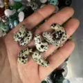 Natural spotted Dalmatian jasper comma shaped stone pendant for DIY necklace jewelry making - 1 Piece (13*23mm) / Dalmatian Jasper