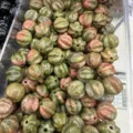 Natural unakite stone pumpkin-shaped beads for DIY jewelry making and necklaces - 10mm / Unakite