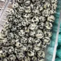 Natural dalmatian jasper pumpkin-shaped loose beads for DIY jewelry making and crafts - 10mm / Spotted Stone