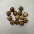 Collection of mixed natural stone round cabochons for DIY jewelry inlay accessories - 6mm / Picture Jasper