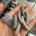 Natürliche graue Steinbrückenstücke für DIY-Armbandschmuck, 36x10mm gebogene Form - Einheimischer Stein