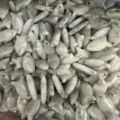 Makro-Detail von fischförmigen Natursteinanhängern mit vorgebohrten Löchern für DIY-Schmuck. - 10 Stück/Packung (22x12x6mm) / Weißer Labradorit