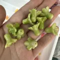 Macro view of green trumpet flower beads made of shell powder for DIY jewelry crafts - 12x14mm / Two-tone Green