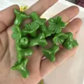 Close-up detail of green trumpet flower-shaped loose beads for DIY jewelry crafts - 12x14mm / Solid Green