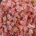 Macro detail view of pink shell powder flower beads with green centers for DIY jewelry making - Style 1 / Pink