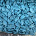 Handgefertigte fischförmige Perlen aus synthetischem Türkis für DIY Schmuck - 10 Stück/Packung (22x12x6mm) / Türkis