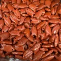 Handgefertigte rote Jaspis Fisch Steinanhänger für DIY Schmuckherstellung Zubehör - 10 Stück/Packung (22x12x6mm) / Roter Jaspis