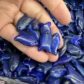 Natürliche Lapislazuli Steinanhänger in Fischform für die DIY Schmuckherstellung Zubehör - 10 Stück/Packung (22x12x6mm) / Lapislazuli