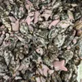 Haufen fischförmiger Natursteinanhänger für modische DIY-Schmuckzubehör-Accessoires - 10 Stück/Packung (22x12x6mm) / Rhodonit mit schwarzen Linien